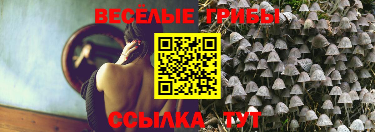 хочу наркоту  Вход с VPN  Сорочинск  Галлюциногенные грибы мицелий  Галлюциногенные грибы Cubensis 