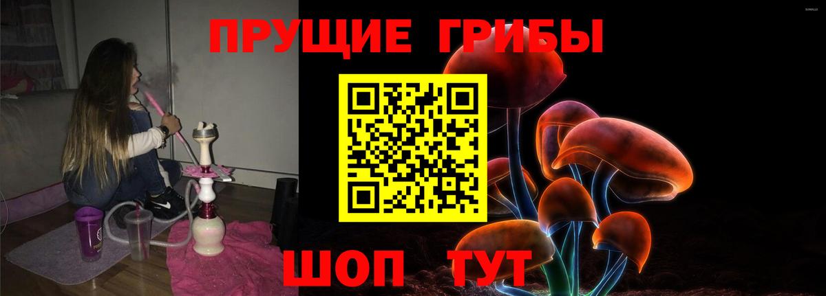 Галлюциногенные грибы мицелий Сорочинск